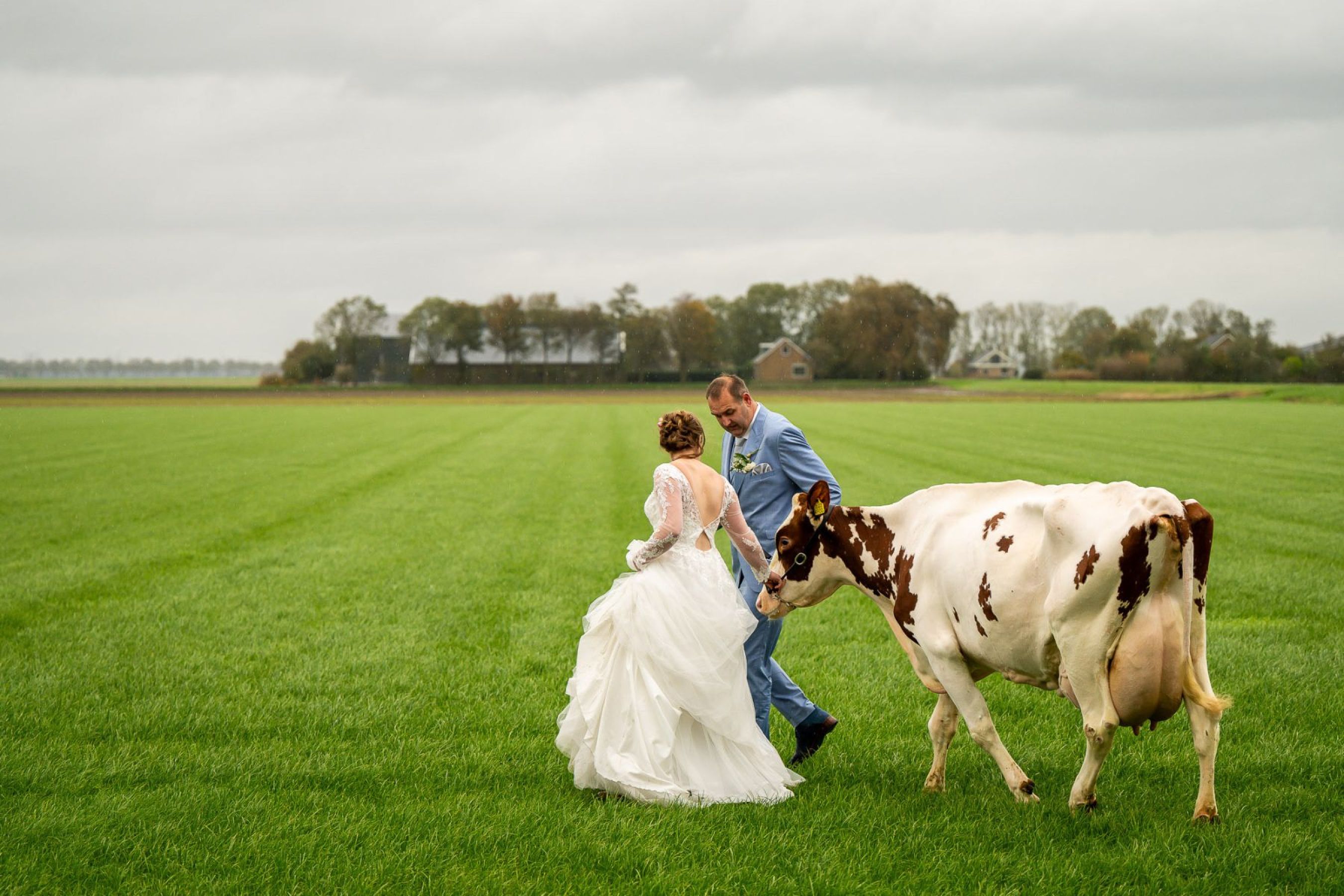 Willem-Jan-Dagmar-Jan-van-de-Maat-Bruidsfotografie-Trouwen-Bruiloft-Trouwreportage-Bruidsreportage-boerderij-paard-koe