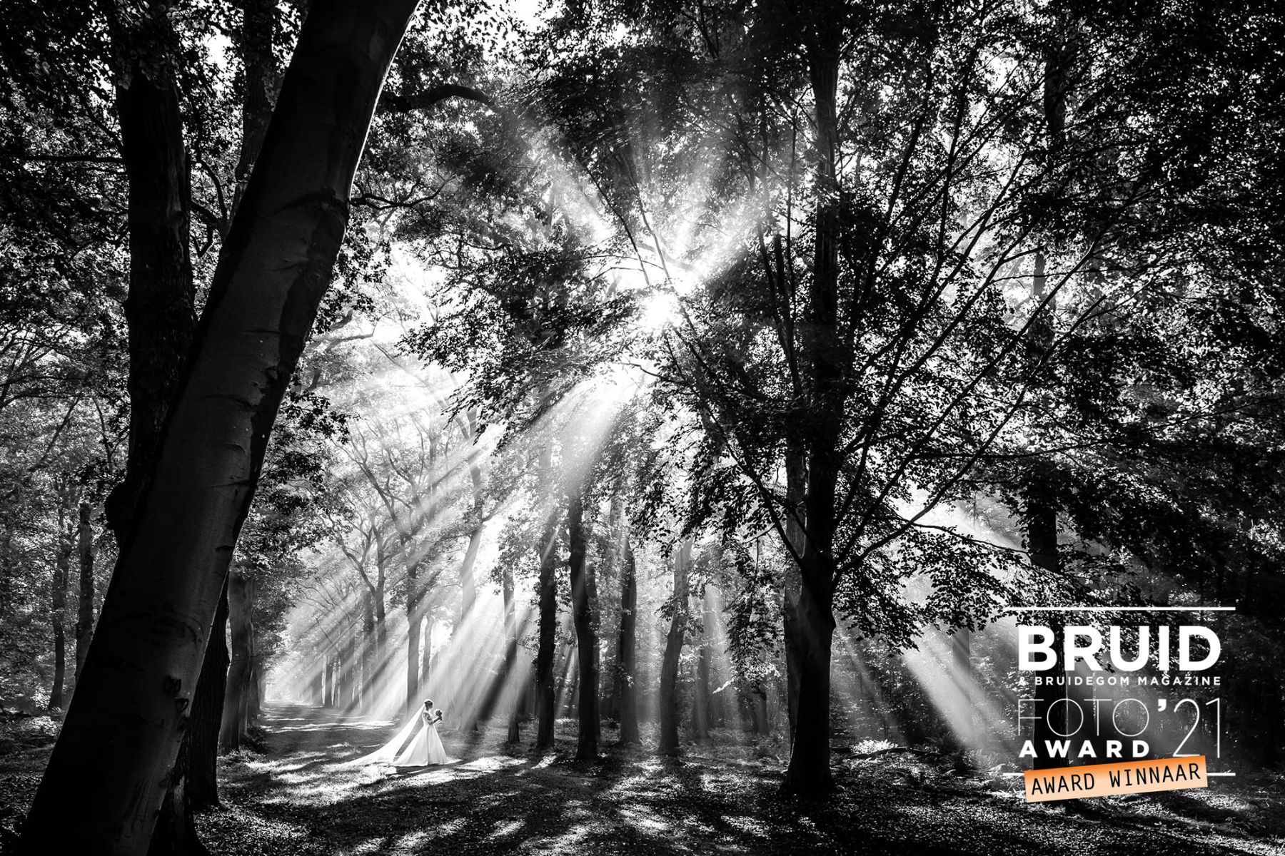 Jan van de Maat Bruidsfotografie Trouwfotografie Bruidsfoto Award Winnaar 2021